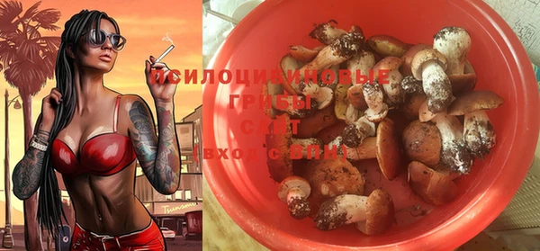 соль курить ск Заволжье